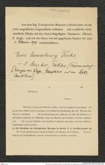 Nachlass Franz Steindachner, Brief und 2 Leihformulare vonP. Pappenheim an Franz Steindachner (25.09.1908), Inv.Nr. 382.05, Seite 7